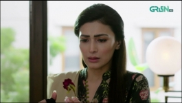 Shehzadi House - Episode 32